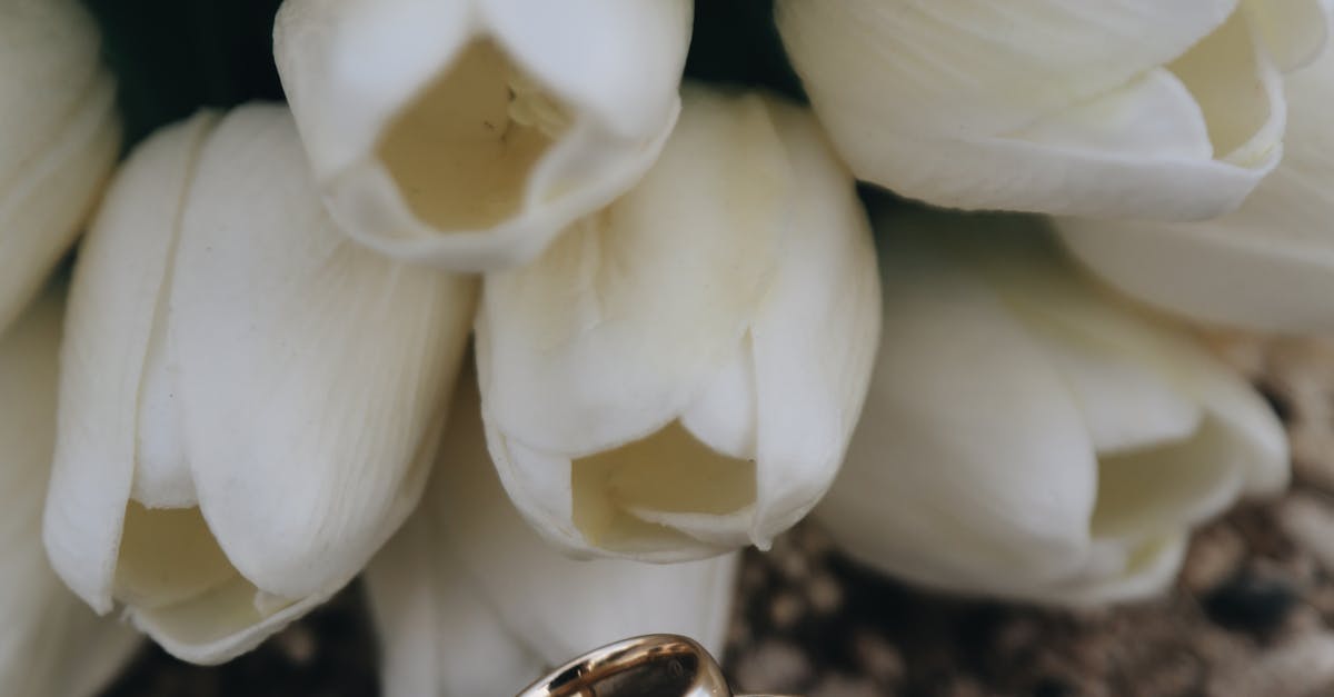 Best Autumn Flowers for Gold Coast Weddings