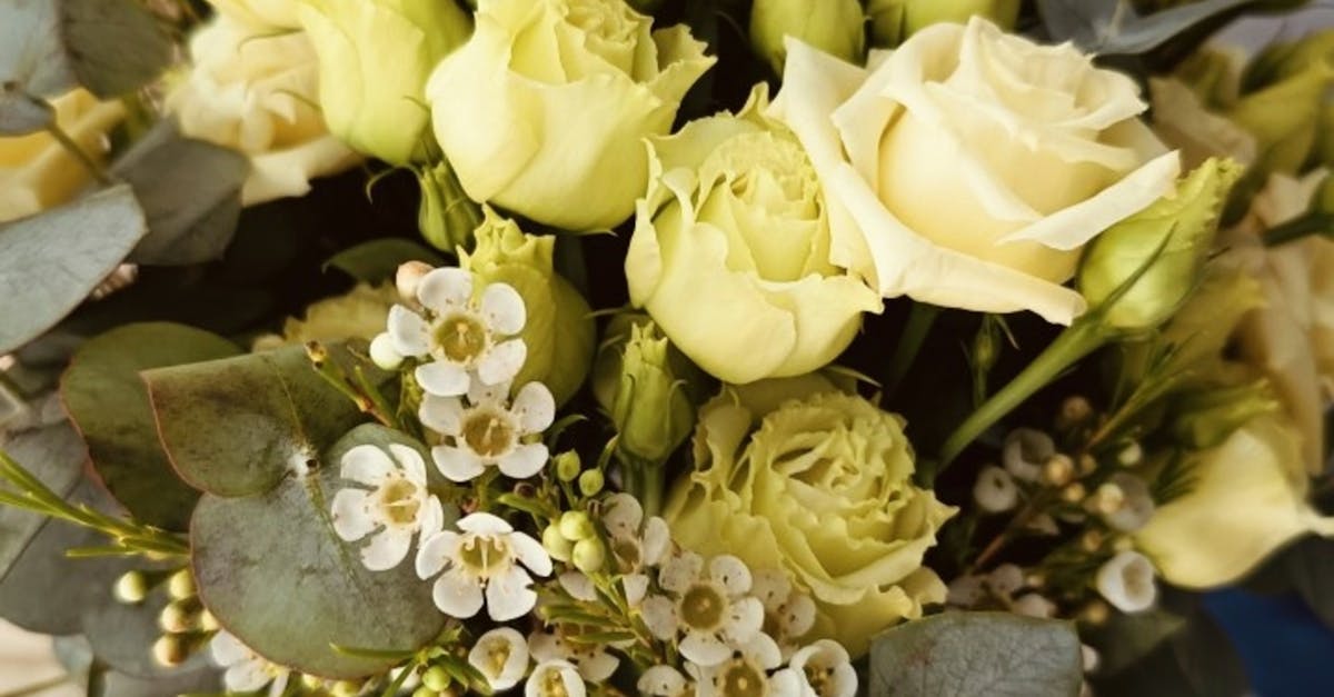 Discovering Local Floral Varieties in Gold Coast for Spring Weddings