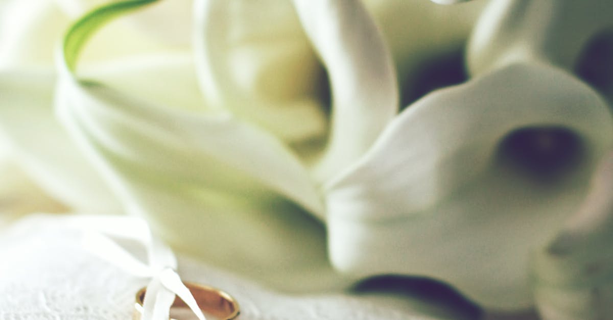 Floral Memories: Personalising Your Wedding Bouquet