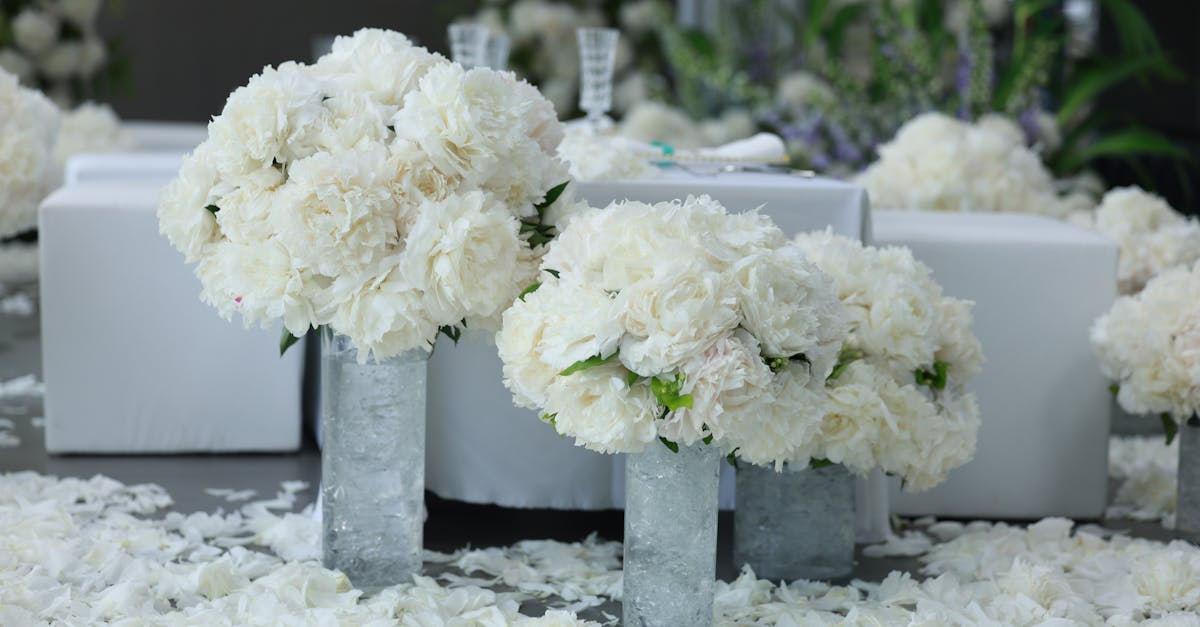 Guide to Selecting Fresh Summer Flowers for Weddings on the Gold Coast