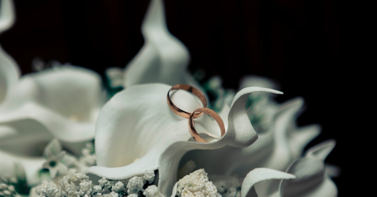 Seasonal Flower Trends for Spring Weddings on the Gold Coast