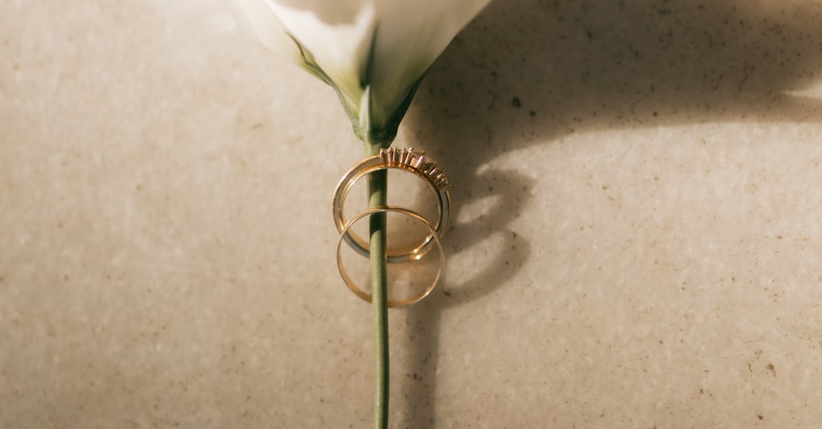 Tips for Selecting the Perfect Floral Arch for Your Ceremony