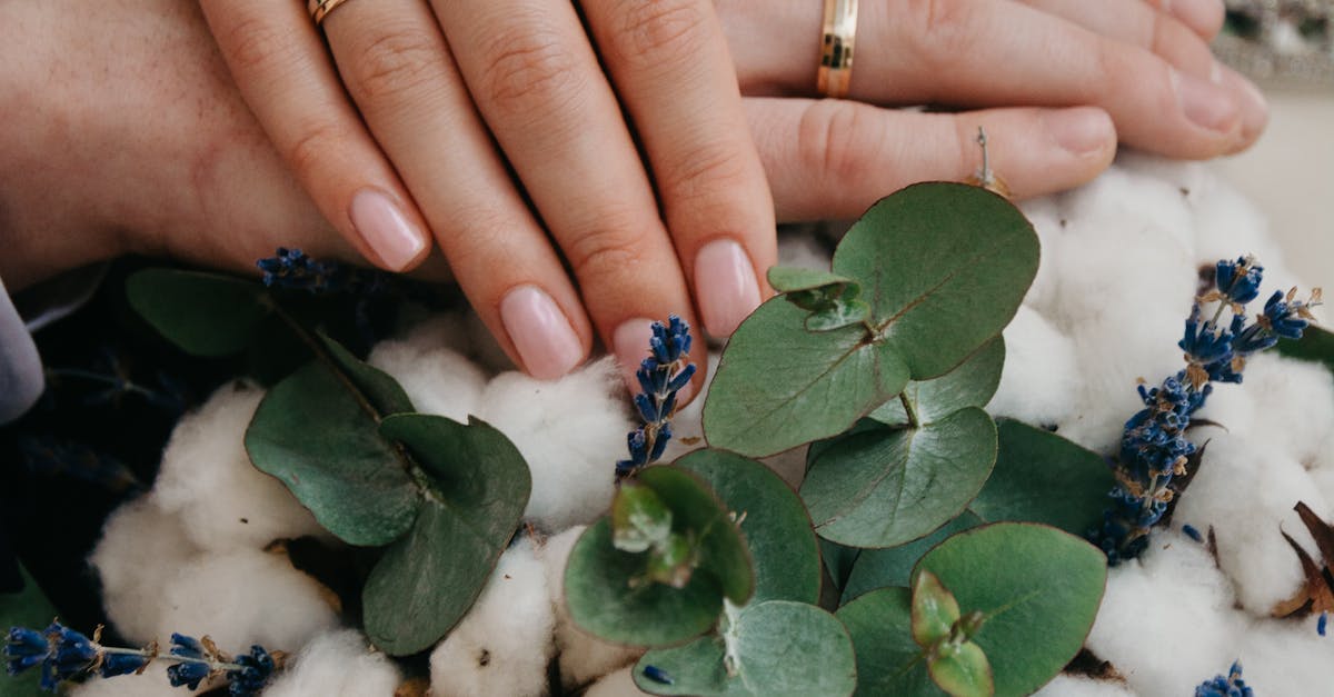 Trending Floral Varieties for Bridal Bouquets in Queensland